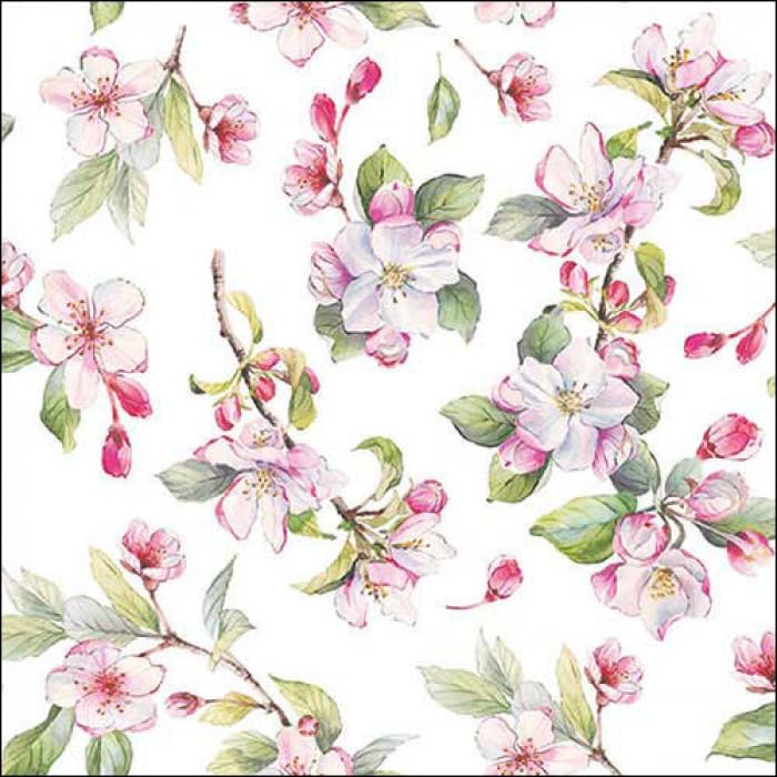 DCAD Decoupage Tissue Paper Napkin - Spring blossom white (Pack of 20 Same Design, Size 33 cm X 33 cm)-image-21