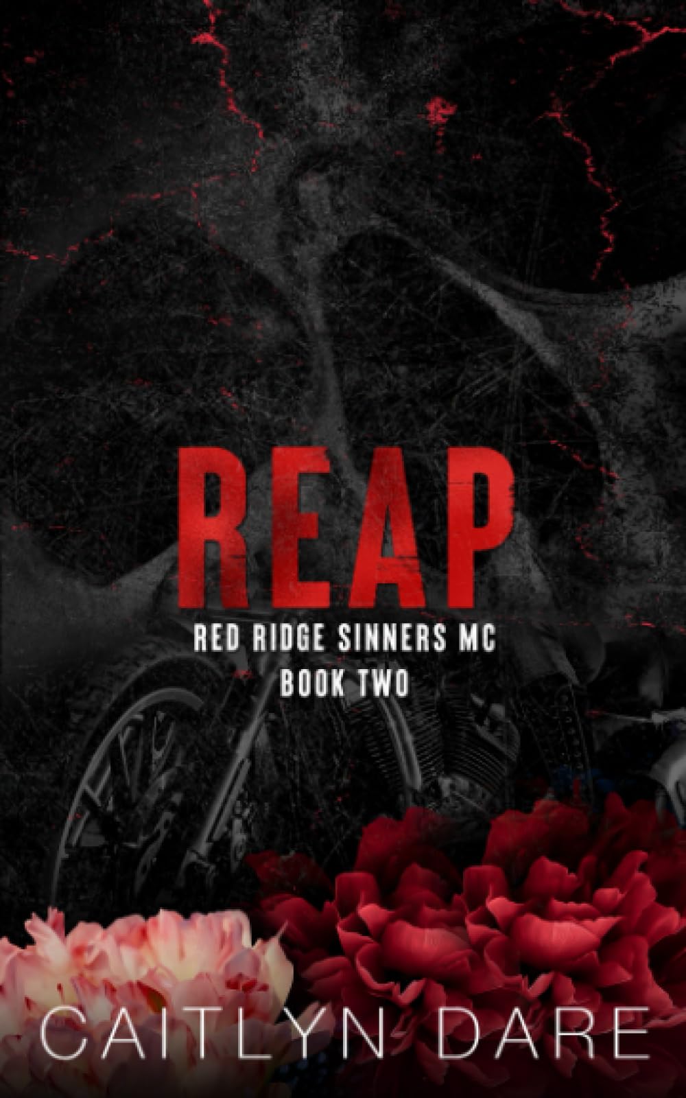 Reap: A Dark MC Romance (Red Ridge Sinners MC Special Edition)