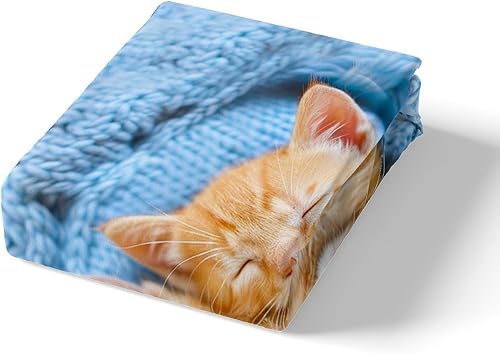 Miniatura 5 de Juego de funda de edredón con diseño de gato para mascotas, lindo gatito, funda de edredón con estampado de gatitos para niños, niñas, adolescentes,