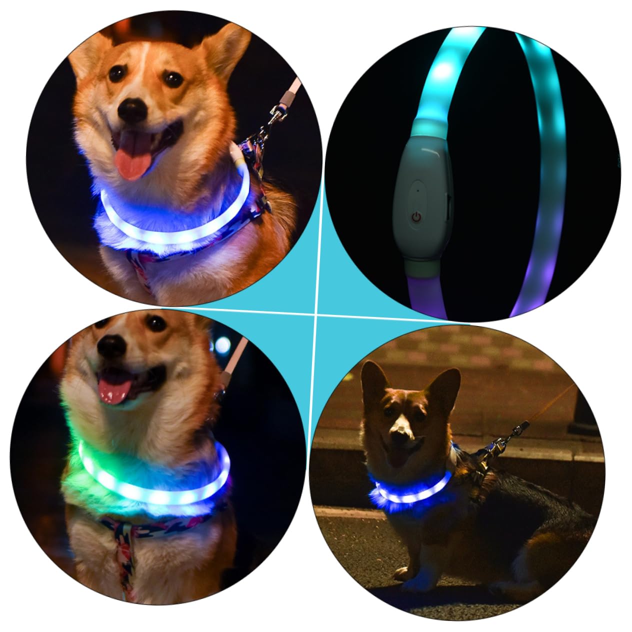 Housoutil Lot De 2 Colliers LED pour Chien 55 Cm Chargement Sécurité Nocturne Confortable