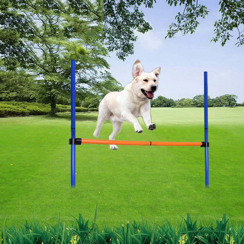 Attrezzature per l'agilità del cane, Corsi a ostacoli Addestramento per principianti, Giochi all'aperto per animali domestici per cortile, Interazione con animali domestici, Mantieni gli animali dom