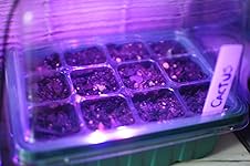 Review Image by Chaz Chaz