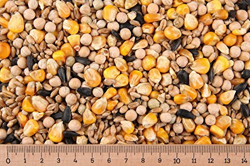 Taubenfutter - 25 kg Körnermischung Tauben Vogelfutter Cover