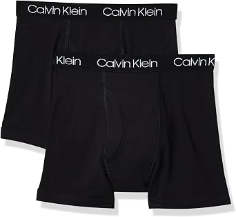 Calvin Klein Kids Boys Modern Cotton Boxer Brief Underwear 2-Pack