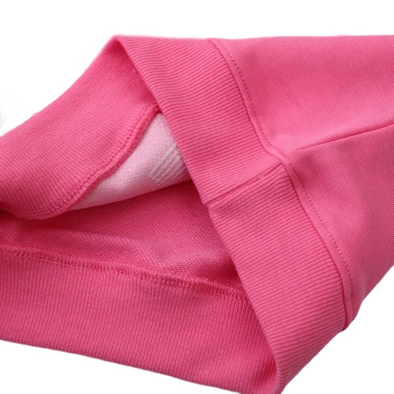 Toddler Sweatshirt Girls Long Sleeve Shirts Casual Kids Cotton Graphic Fall Winter Pullover Tee Tops Blouse4