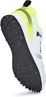 ASE Men's Professional Cricket Shoes