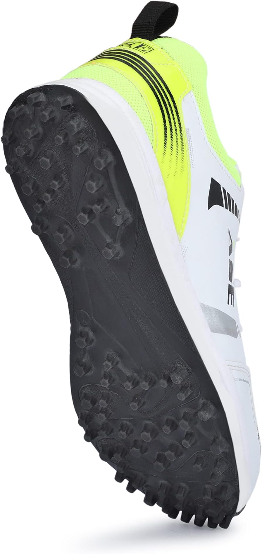 ASE Men's Professional Cricket Shoes