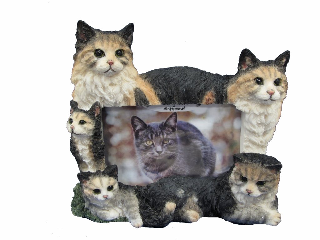 E&S Pets 35297-10 Large Cat Frames