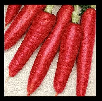 Atomic Red Carrot 300 - 4,000 Seeds Beautiful Color High Content Lypocene! Rare 600