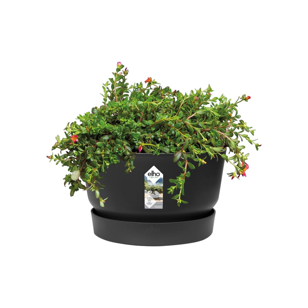 elho Greenville miska 33 – doniczka na kwiaty do użytku na zewnątrz – 100% plastik z recyklingu – Ø 32,5 x wys. 19,4 cm – czarna/czarna Living
