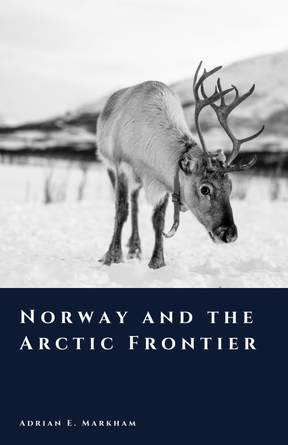 Norway and the Arctic Frontier: Ice, Trade, and the Far North (The Story of Norway)
