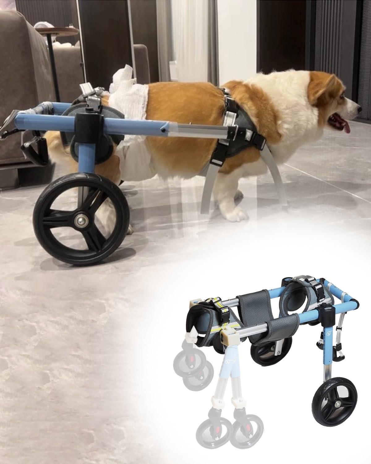 Hunde-Rollstuhl, Tier-Übung, Haustier-Hebehilfe – Abnehmbare 2 Vorderräder, Erholungsausrüstung, Gerät, Metall, E, XS bis XXL, ältere und behinderte Haustiere, Kaninchen, Kätzchen, Hündchen