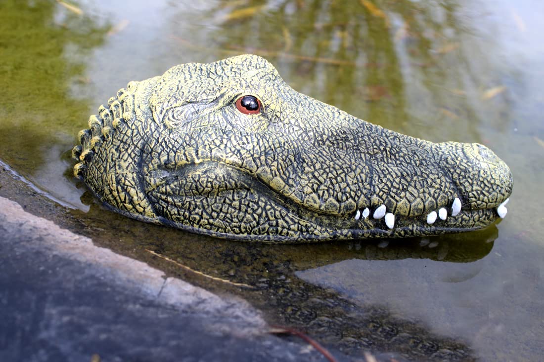 YQkoop Drijvende alligator lokvogel voor zwembad vijver nep ornamenten, drijvende water lokool, alligator sculptuur vijver drijven buiten standbeeld
