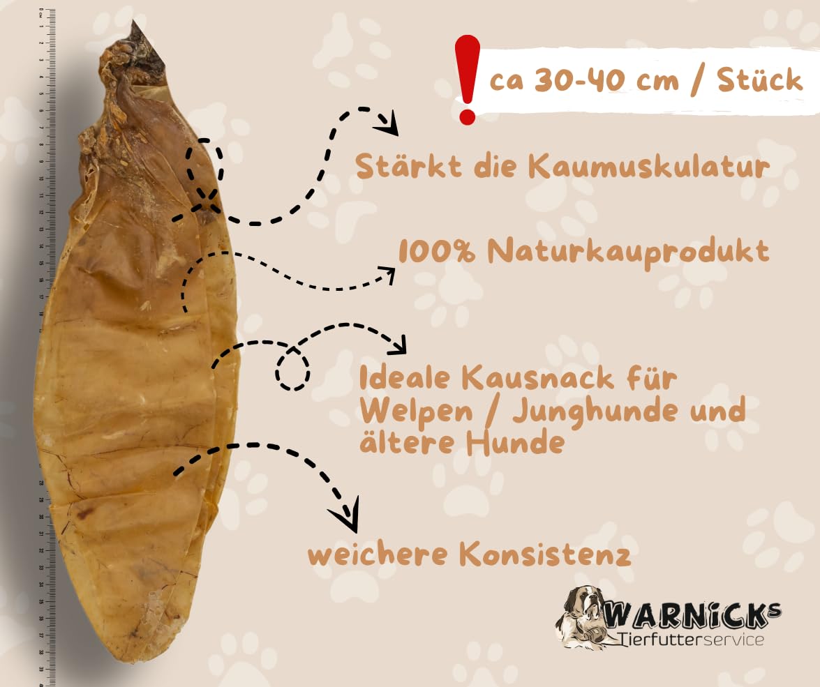 Warnick´s Tierfutterservice - Hundesnack - Getrocknete Kälberblase flach für Hunde – 100 % Rind, Naturkausnack luftgetrocknet – Zahnpflege & Kauspaß – fettarm & gut verdaulich – 2kg (ca. 60 Stück)