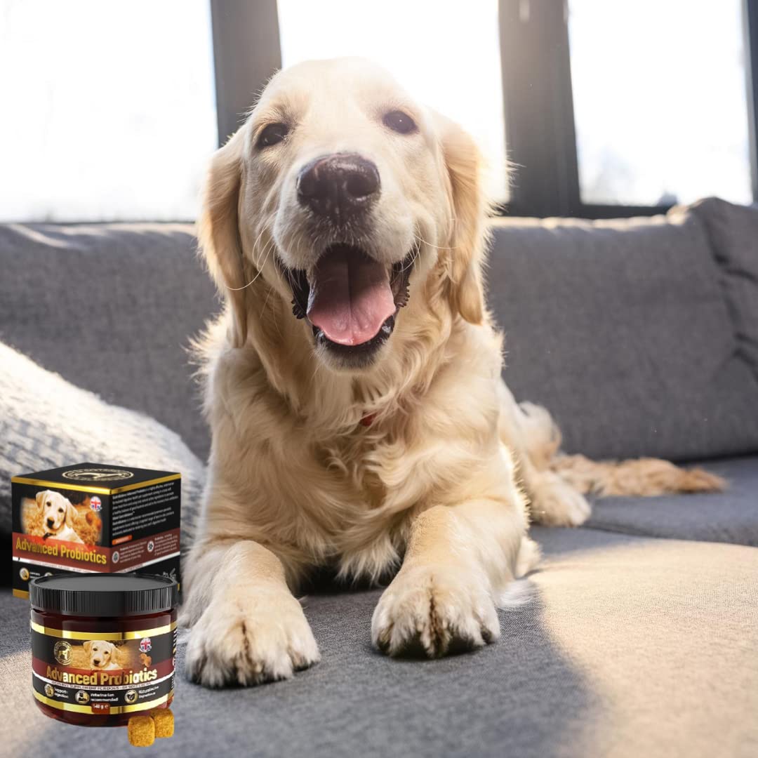 Traitement Chien probiotiques – 60 croquettes Naturelles pré et probiotiques pour Chiens - Goût Poulet (English)