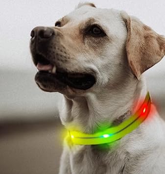 Amazon 光る首輪 犬 首輪 光る Usb 充電式 犬首輪 ライト レインボー 光る首輪 防水 犬 散歩 ライト 虹色 中型犬 大型犬対応ひかる グリーン 首輪 Kozinap ベーシック首輪 通販