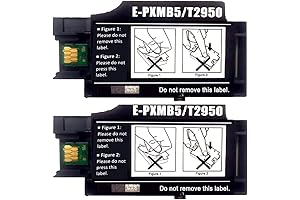 Remanufactured T2950 Ink Maintenance Box for Epson WF-110 Inkjet Printer(2 Pack)