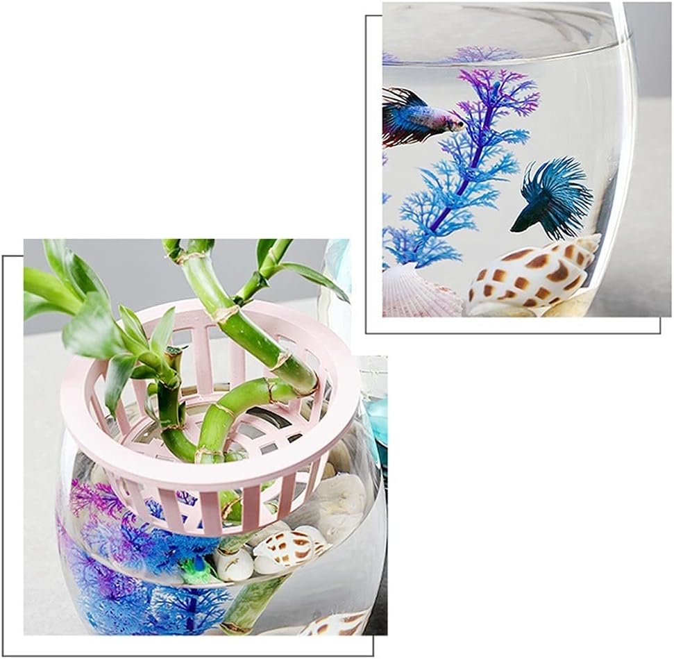Fish Tank Glass Landscaping Water Tank Vase Bottle Big Turtle Fish Tank Fish Farming Creative Aquarium Ecological Round Goldfish Tank Glass Fish Tank(7.87IN)
