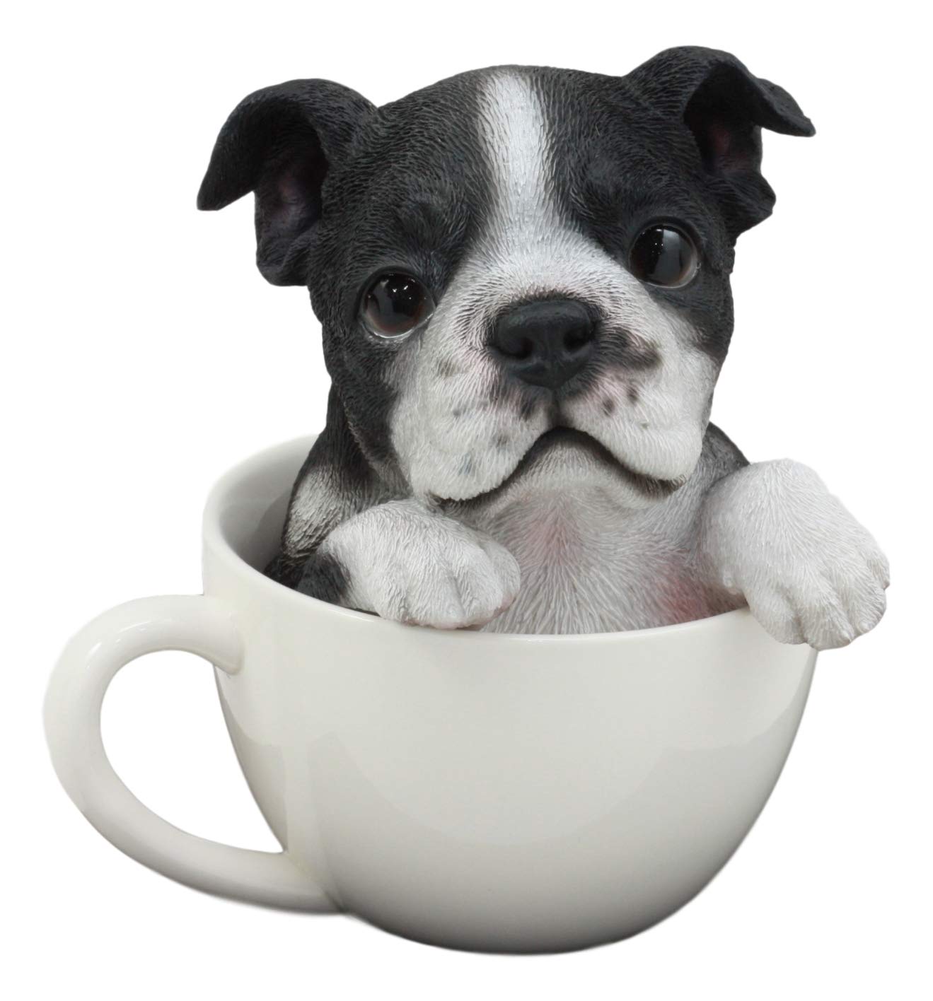 Ebros Realistische Boston Terrier Teetasse Statue 14,6 cm hoch Pet Pal Smoking Gentleman Hunderasse Sammlerstück Harz Dekor Figur mit Glasaugen