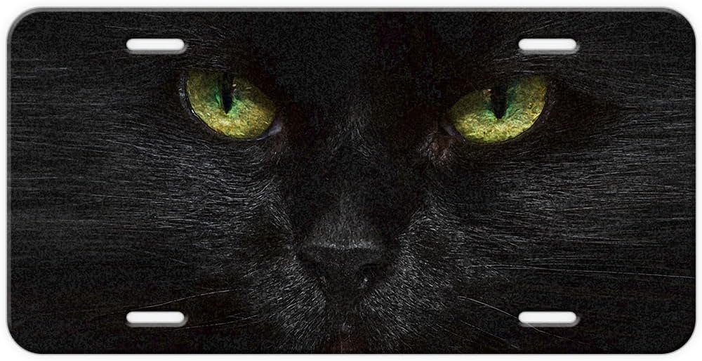 CenNa Cat Front License Plate Cover Animal Personalized