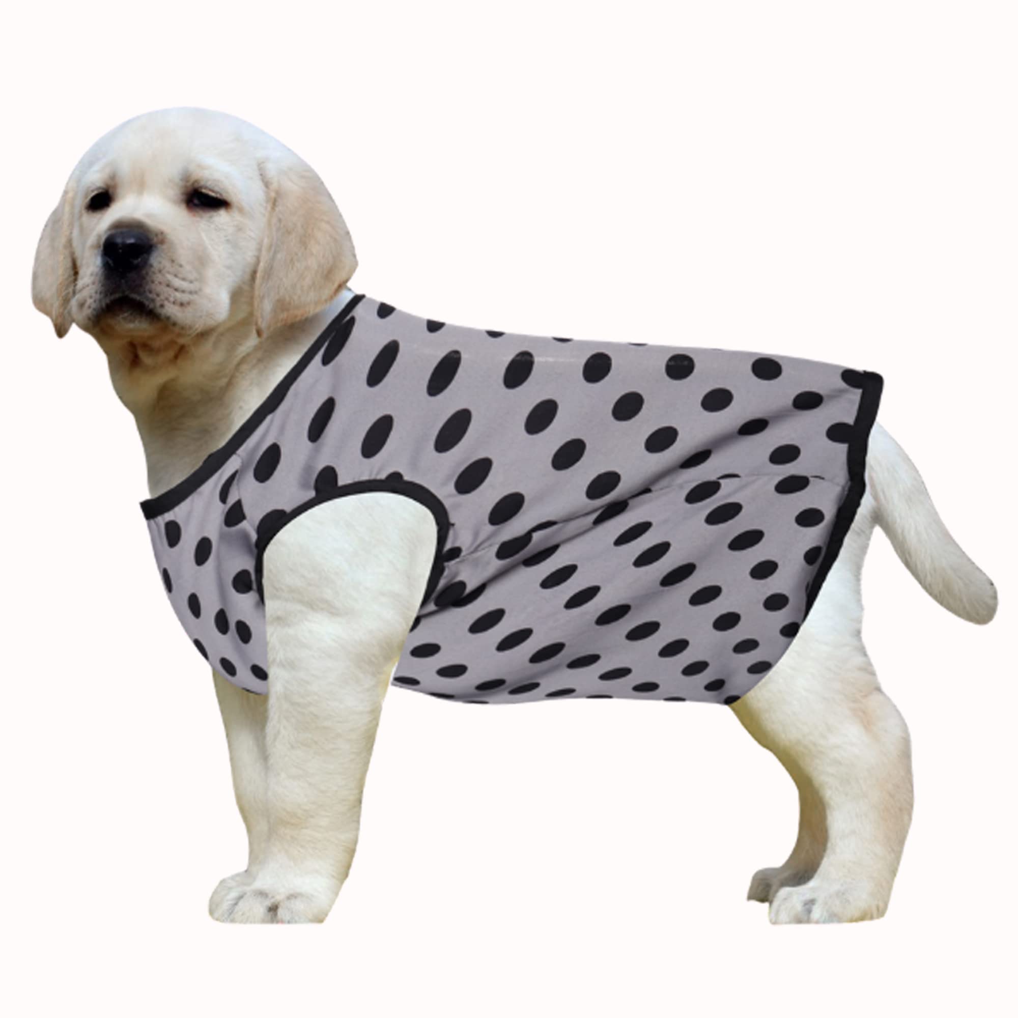 Western Era Funky Soft Cotton Dog T-Shirt | Comfortable & Breathable Dog Clothing | Sleeveless Vest Puppy Outfit |(Polka Grey) (XSmall) (12inches) (B0BD574NMW) Amazon Price History, Amazon Price Tracker