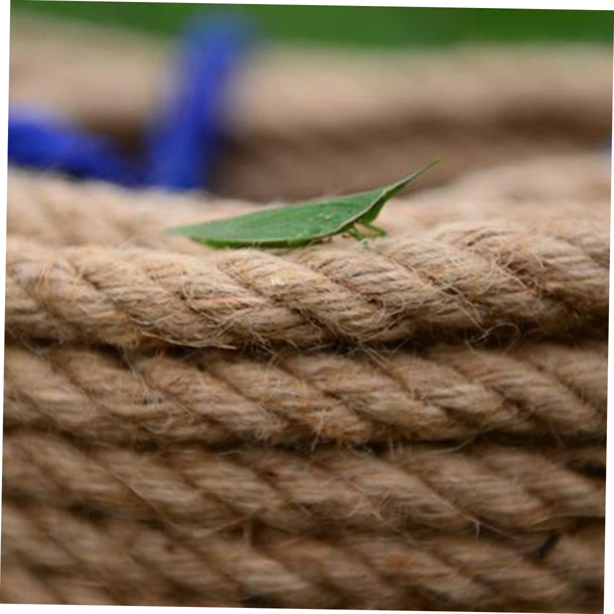 DOITOOL 30m Naturjuteseil Starkes Seil aus Jute für Handwerk Dekoration Gartenarbeit und Verpackungszwecke Biologisch Abbaubar Naturfarben