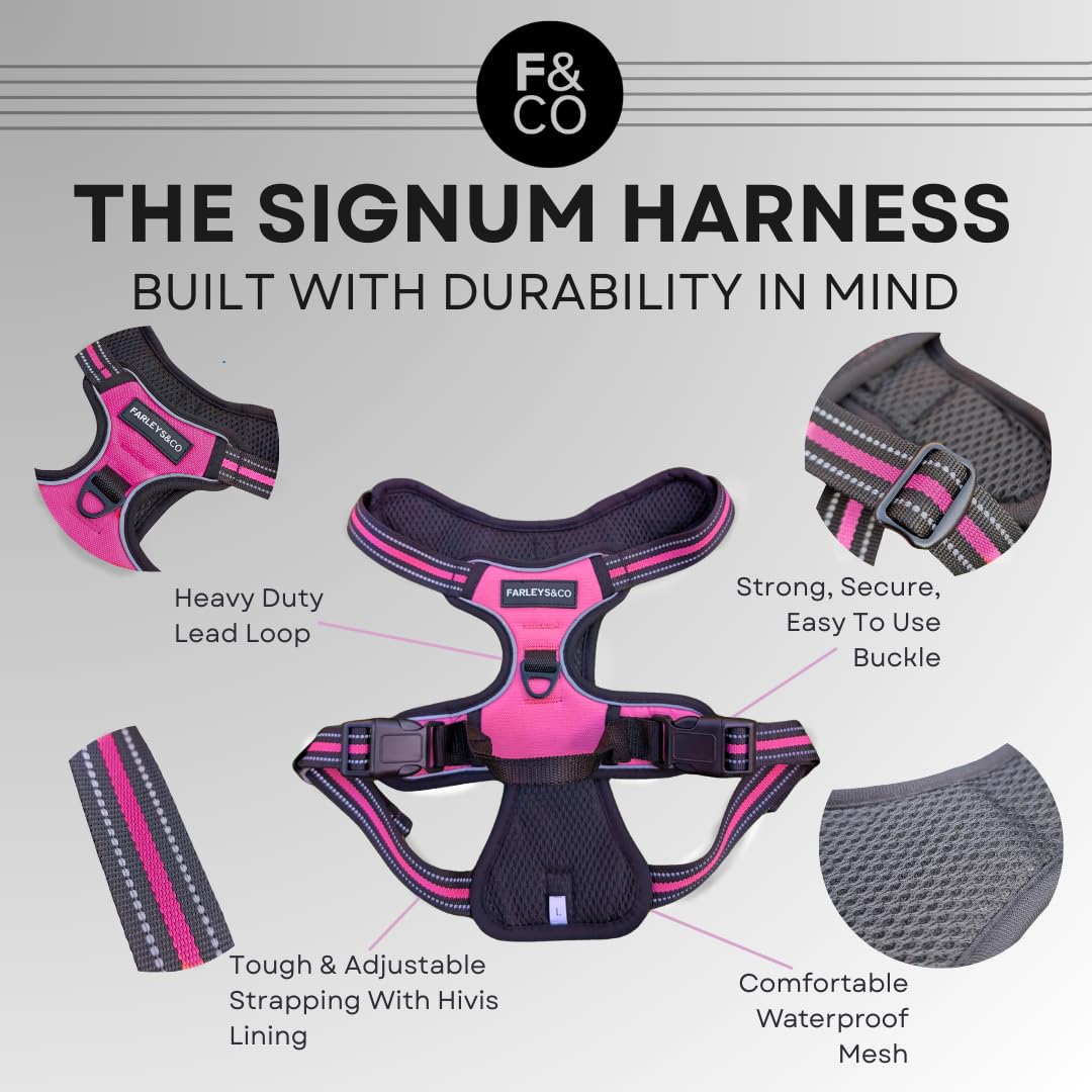 Farleys&Co Signum Dog Harness, Weather-Resistant, Anti-Pull System - Image 2