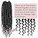 Alrence Passion Twist Crochet Hair 8 Packs Pre twisted Passion Twist Hair For Women Soft Bohe Pre-looped Crochet Braids (14 Inch (Pack of 8), 1B#)