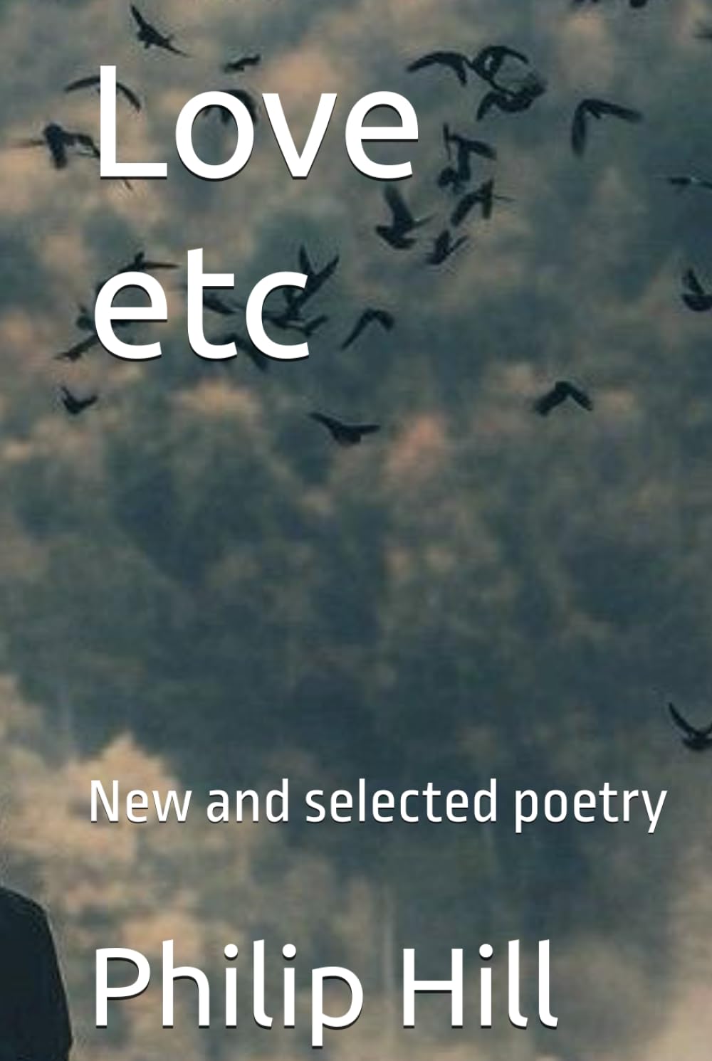 Love etc: New and selected poetry