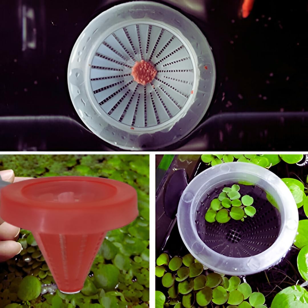 Sucker Worm Feeder, Fish Food Basket with Suction Holder, Bloodworm Cone Feeder (Random Color) (Pack of 4) 4