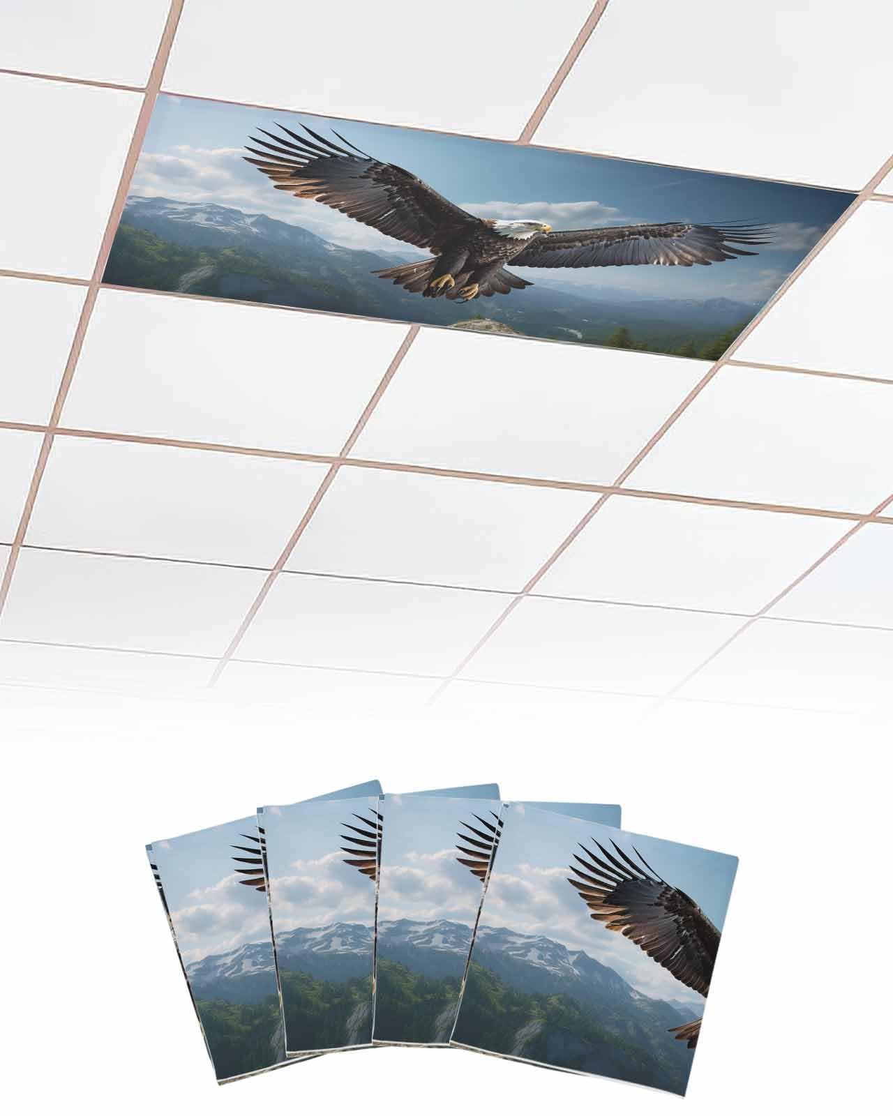 product_img5