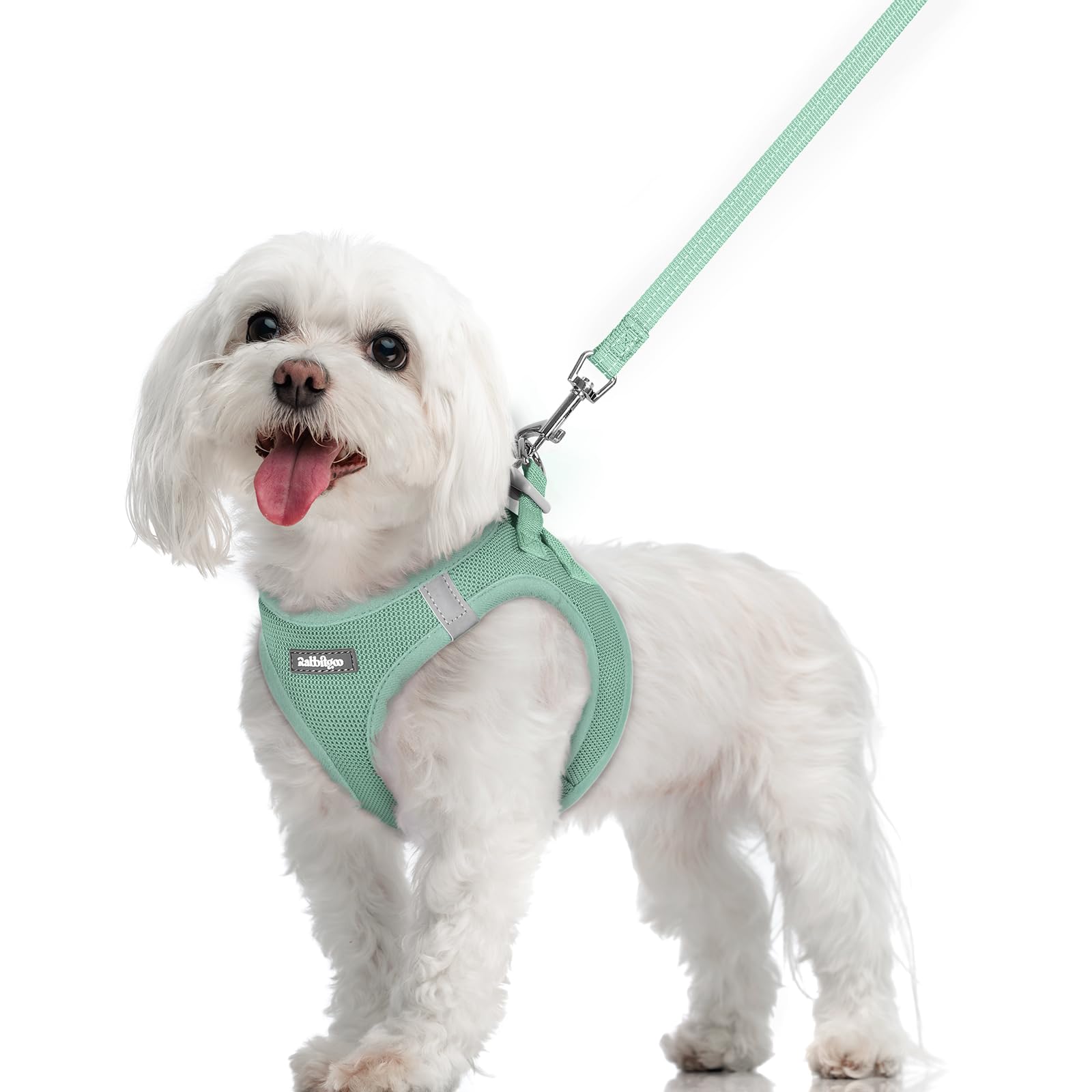 rabbitgoo Dog Harness Medium Sized and Leash Set, Step-in Puppy Pet Vest