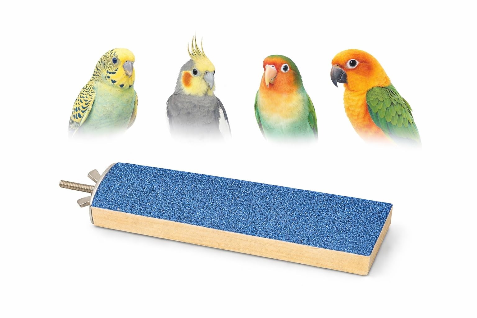 KSK Colorful Wood Bird Perch Stand Platform Toy Playground Paw Grinding Clean for Pet Parrot Macaw African Greys Budgies Parakeet Conure Hamster Gerbil Rat Mouse Cage Accessories Stands Exercise Toy-image-4