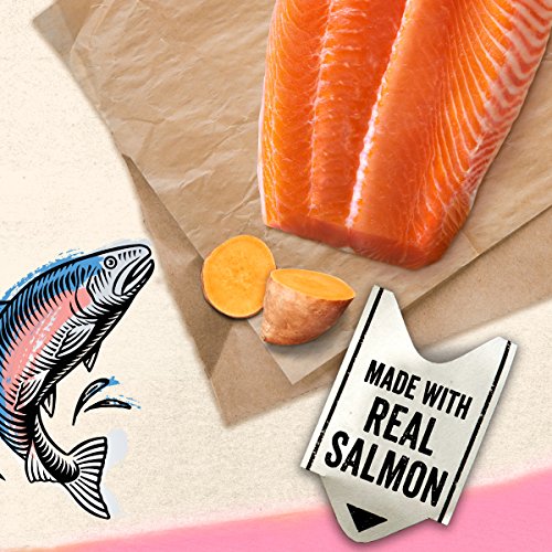 Purina Beyond Grain Free, Natural Gravy Wet Cat Food, Grain Free Salmon & Sweet Potato Recipe - (12) 3 oz. Cans