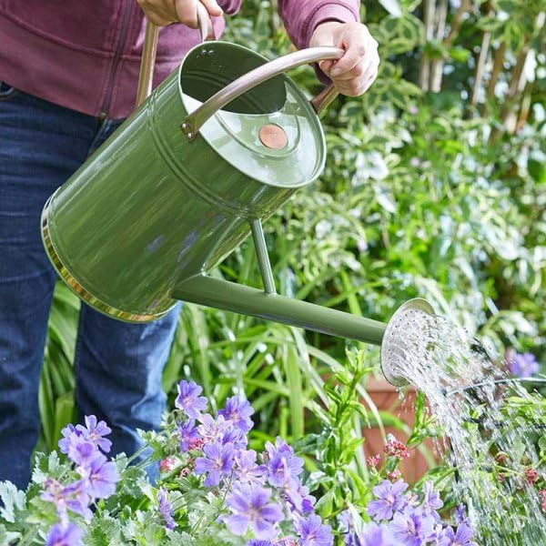 Garden Mile 9L Sage Green Metal Watering Cans For The Garden All Year Round Plant Waterer Made From Steel Rust-resistant Galvanised Watering Can Large With Handle And Detachable Rose
