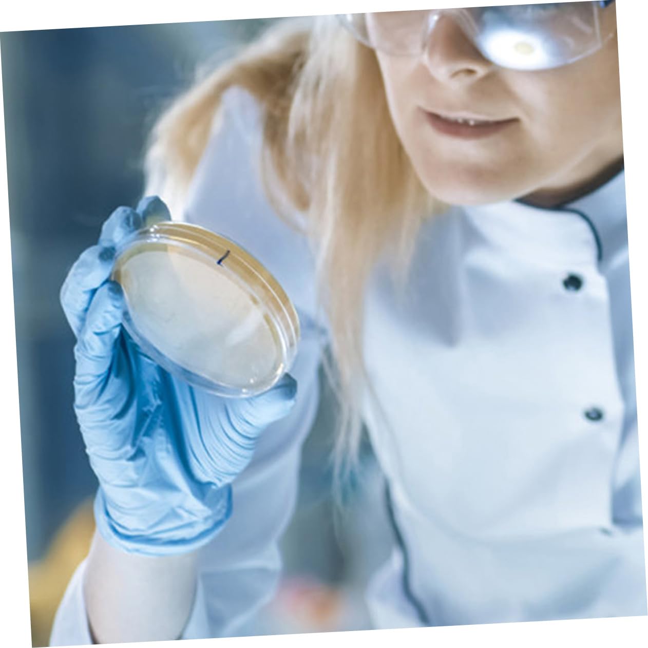 PartyKindom Piastre con Agar Nutriente Preversate 7cm 20 Pezzi per Esperimenti Scientifici e Uso in Laboratorio, Materiale Agar per Crescita Batterica Rapida