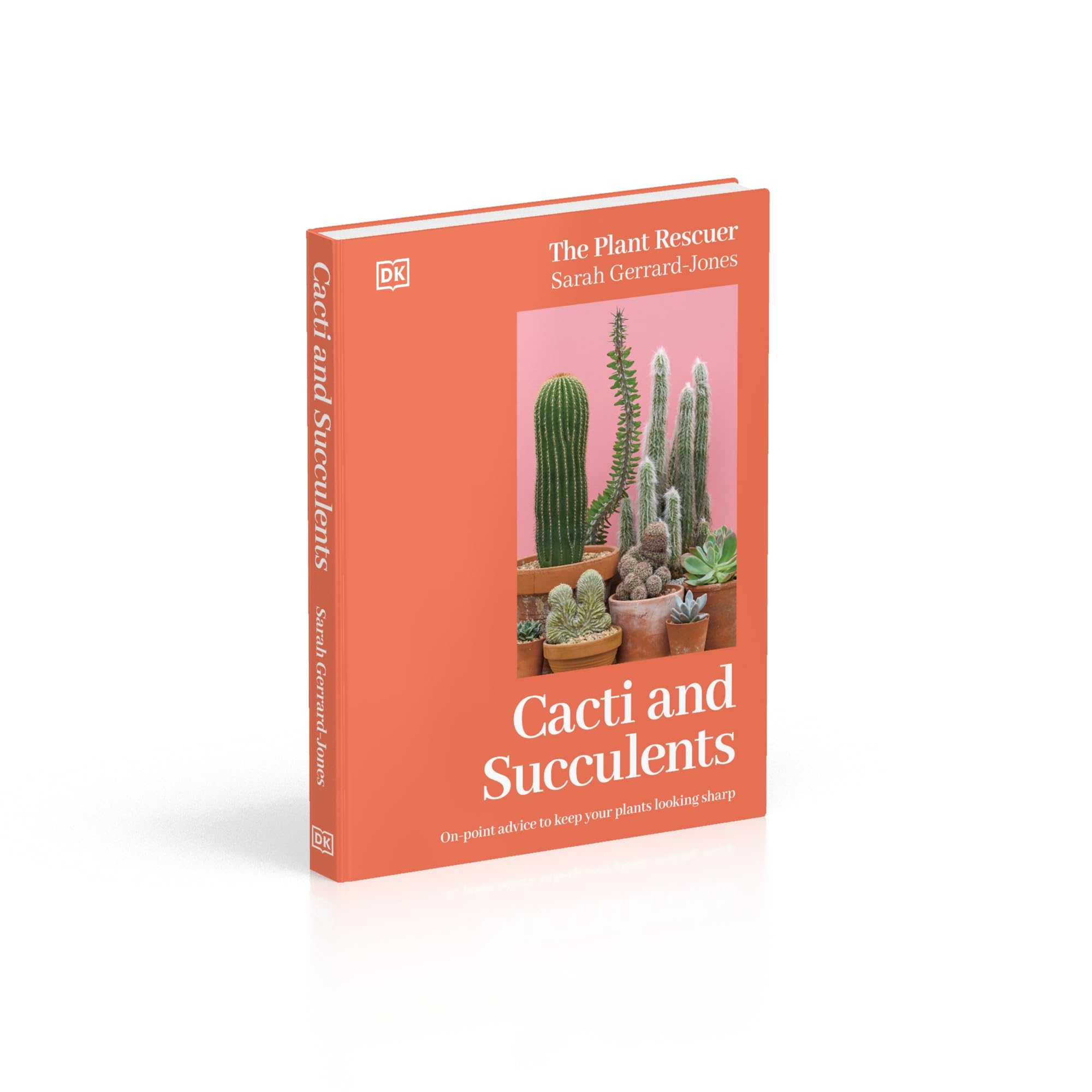 Cacti and Succulents: The Plant Rescuer's On-point Advice to Keep Your Plants Looking Sharp