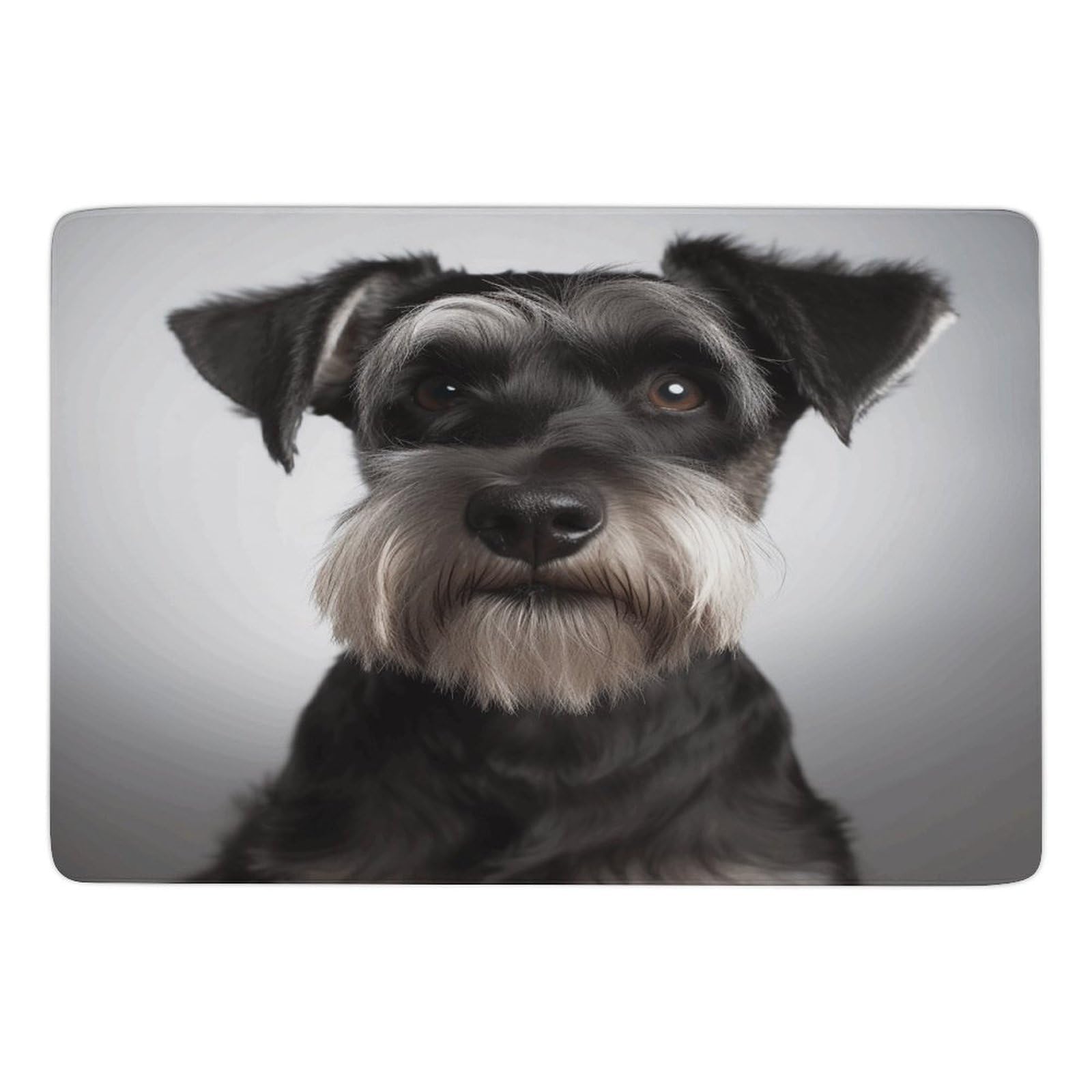 Tapis de bain antidérapant schnauzer absorbant pour sol de salle de bain et sortie de douche