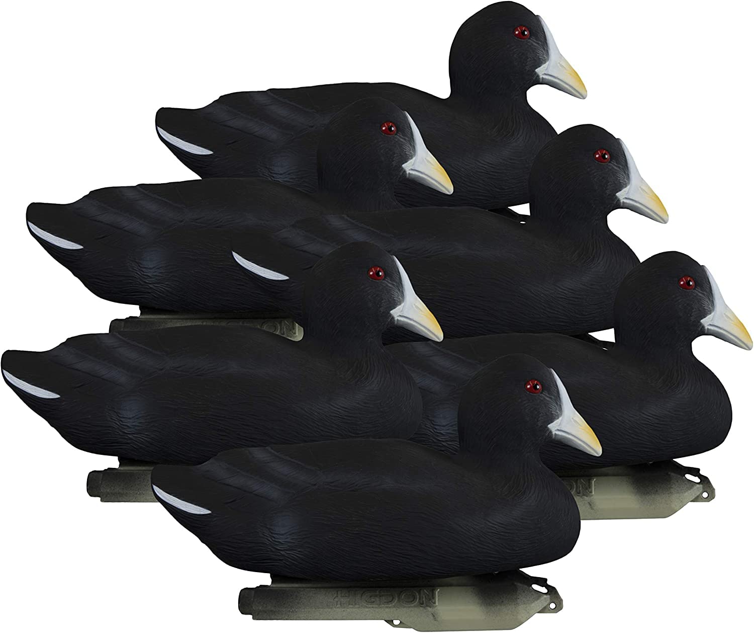 Higdon Outdoors Standard Coot Duck Decoys | Lightweight & Realistic UV Painted Floating Decoy for Waterfowl Hunting| Short-String Design for Easy Setup | Foam Filled | 6pk