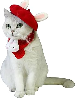 Dog Hat and Scarf Set, Pet Cute Hat, Cat Hood and Collars,Dog Costume Red