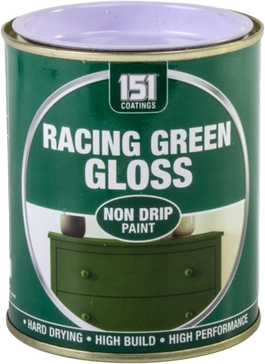 RIZZIIZ Racing Green Non-Drip Paint, Gloss Finish Durable Enamel Paint, Hard Drying Anti-Crack Formula, Long-Lasting Interior & Exterior Paint for Wood, Metal & Concrete, 300ml (1 PCS)