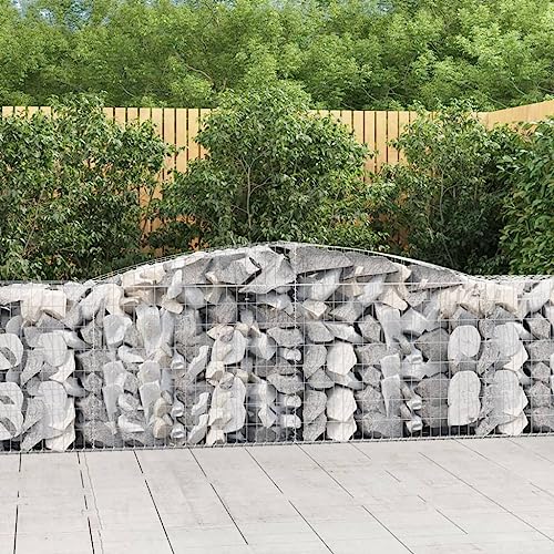 CKioict Invernadero para balcón, jardineras, jardineras, gaviones con arco alto, 25 unidades, 400 x 50 x 80/100 cm, hierro galvanizado, para flores, frutas, verduras