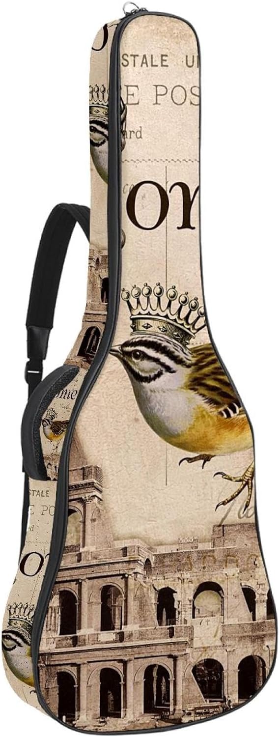 Eslifey Housse Pour Guitare Acoustique - Motif Tête De Mort Et Rose - Bandoulière Réglable - 101,6 Cm - 101,6 Cm - 106,7 Cm, Couleur 1, 42.9x16.9x4.7 In