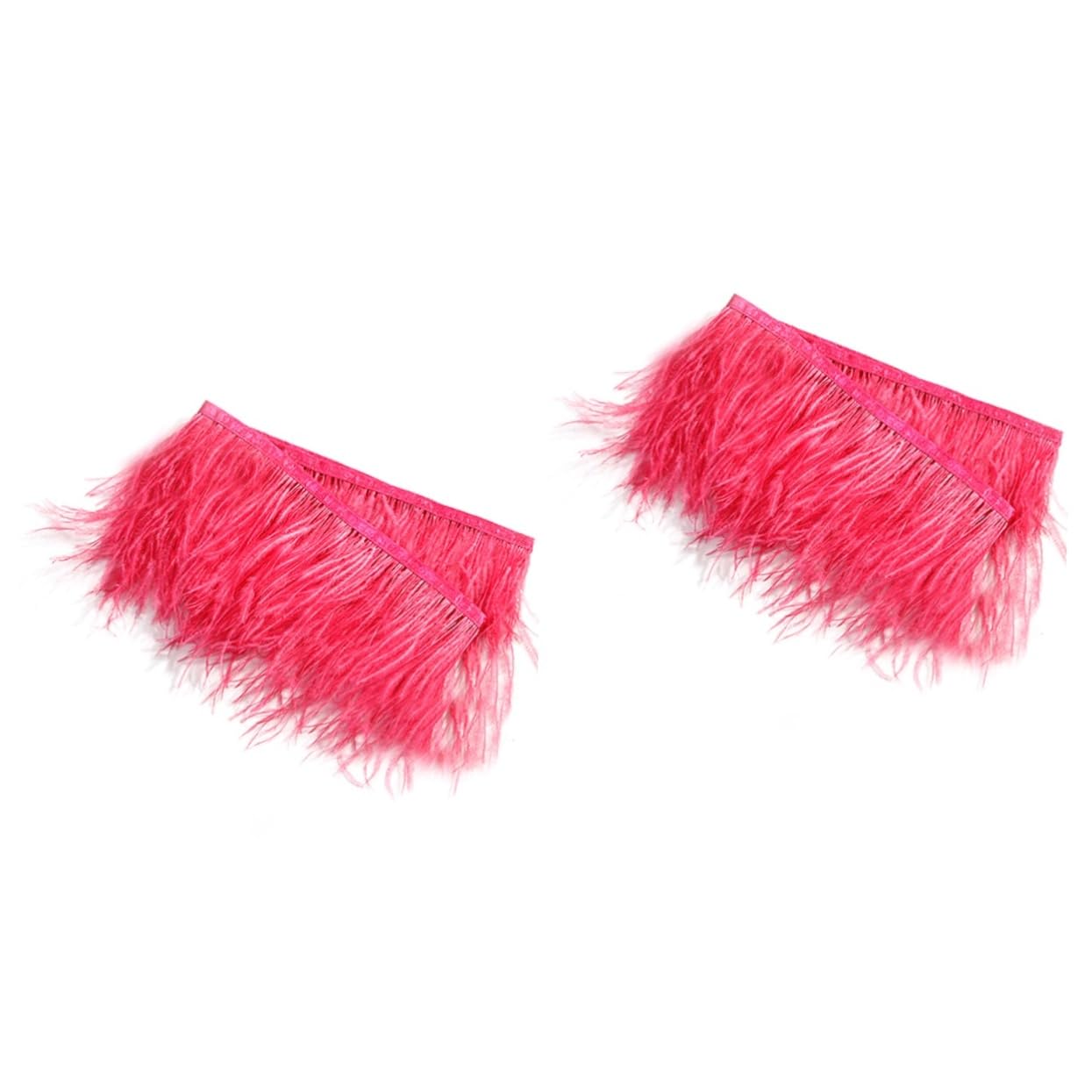 Garnitures de robe à franges d'autruche Lurrose, ruban satin 2 pièces pour couture
