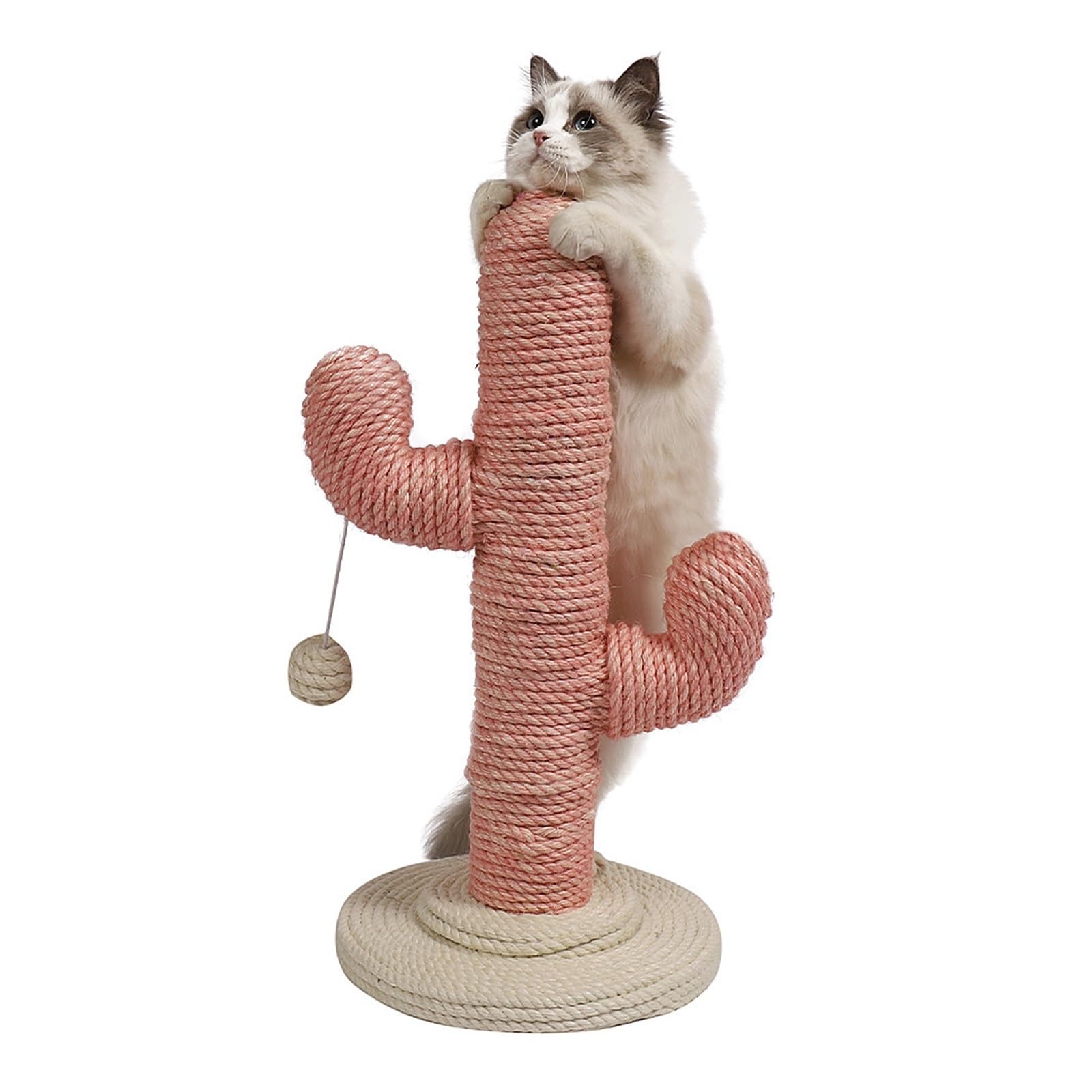 Cadre d'escalade chat cactus rose pour salon moderne