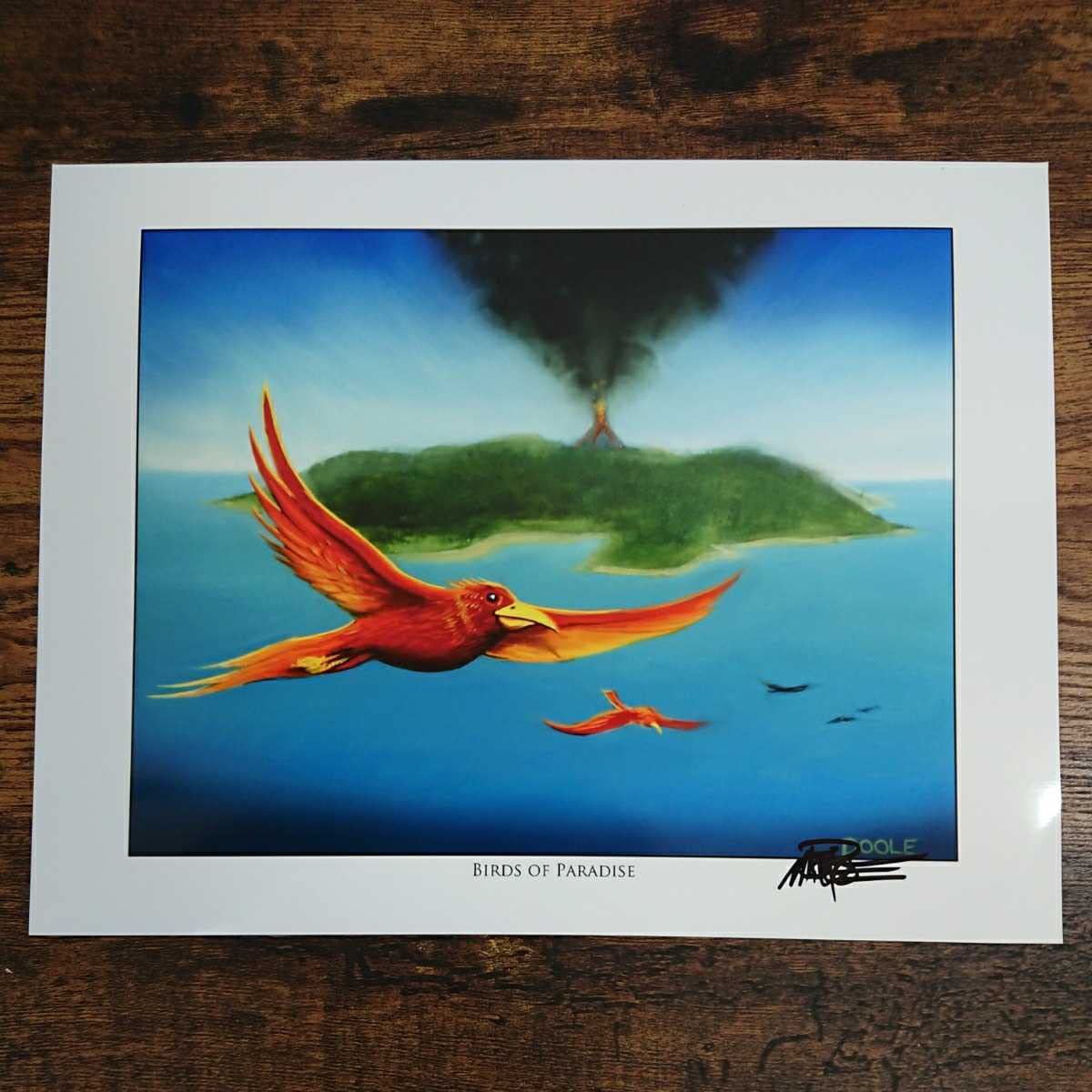 Amazon.co.jp: MTG極楽鳥/Birds of ParadiseMark Poole アートプリント  