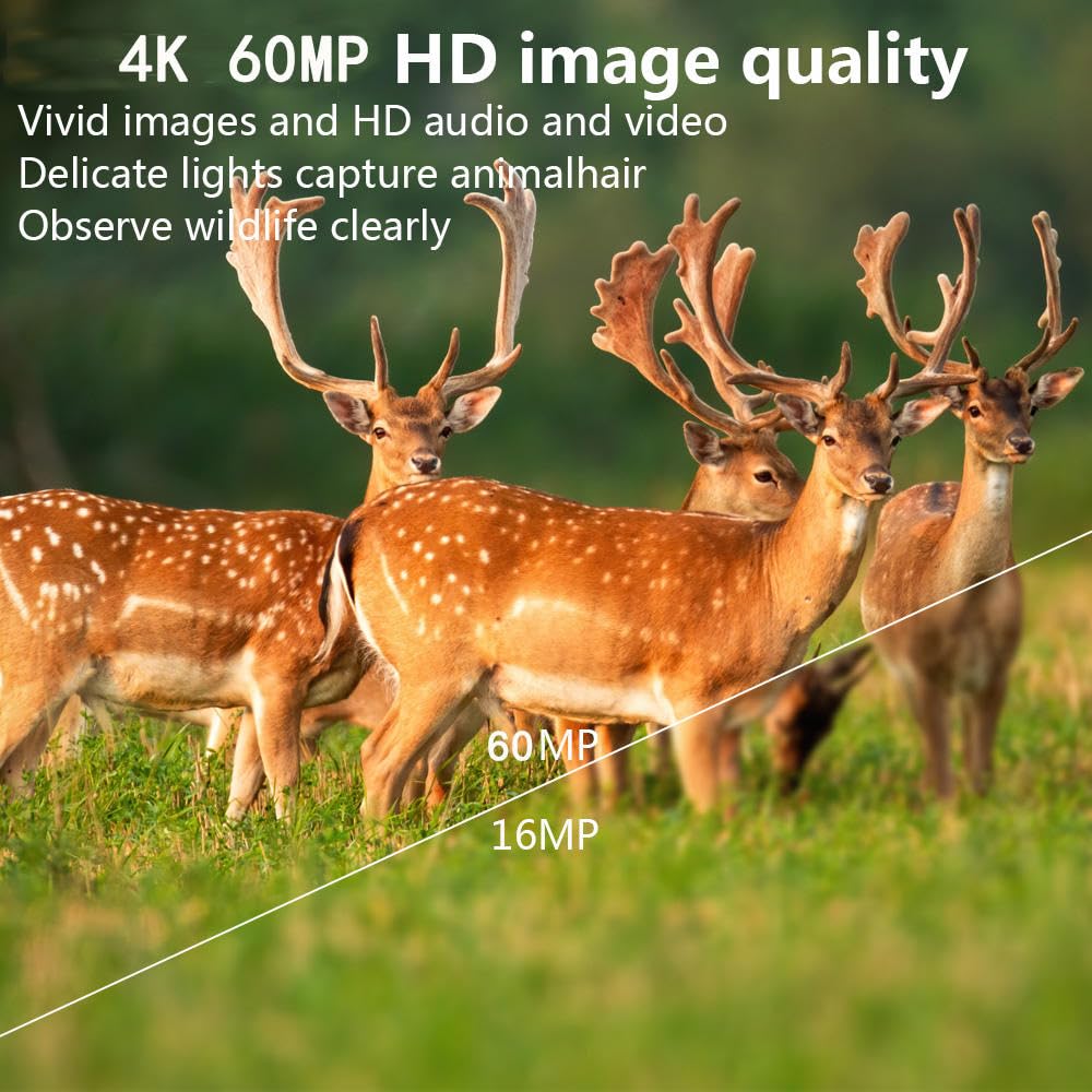 WLAN Wildkamera 4K 64MP mit 32GB Speicherkarte, Wildkamera mit Nachtsicht, 0,05s Auslöser Bewegung aktiviert, IP67 wasserdicht 30m 130° Weitwinkel 46 Infrarot-LEDs ohne Leuchten