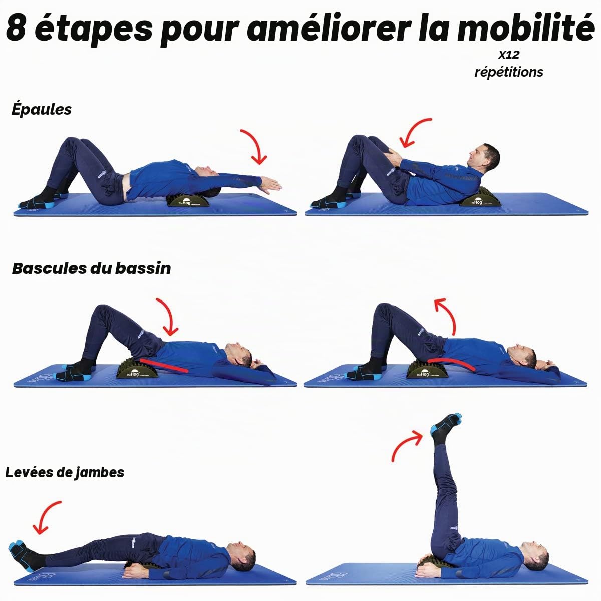 Civière dorsale/entraîneur abdominal/tapis AB/entraînement de hérisson Pilates - The Hog