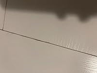 Review Image by Lora Lora