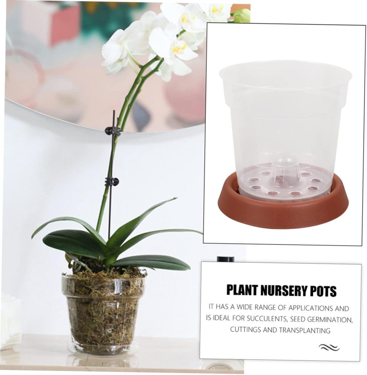 SUPVOX 10Pcs Transparent Plant Nursery Pots with Saucers Durable Gardening Containers for for Balcony and Garden Use Control